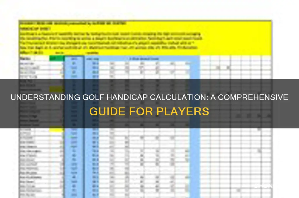 how is a player handicap determined in golf
