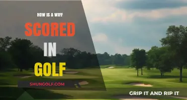 Understanding the Rules: How a Wiffle Ball Score Translates to Golf