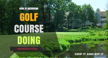 Aberdeine Golf Course: Current Performance, Challenges, and Future Prospects