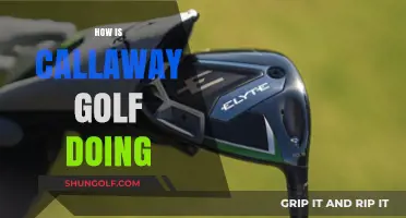 Callaway Golf: Performance and Prospects