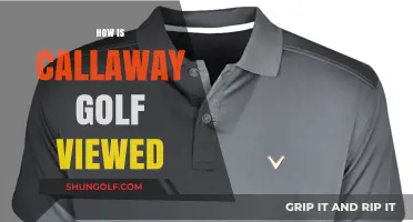 Golfers' View: Callaway's Reputation
