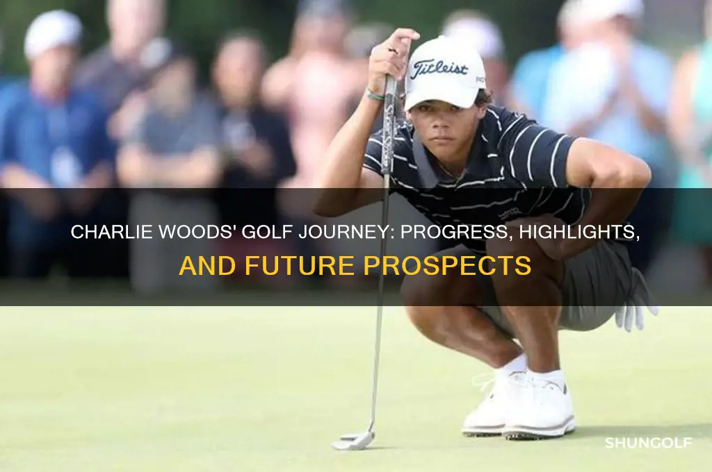 how is charlie woods doing in golf