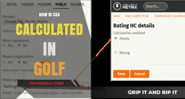 Golfers' CSS Calculation: Understanding the Handicap System