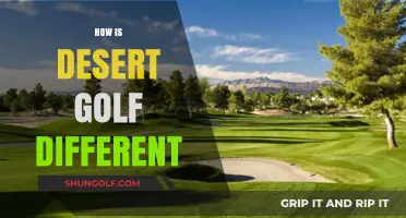 Golfing in the Desert: Unique Challenges and Scenery