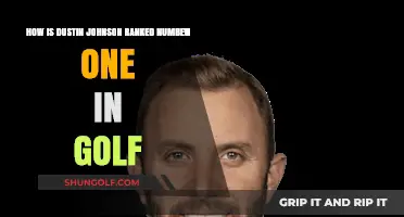 Dustin Johnson's Rise to Golf's Top Rank: Secrets Unveiled