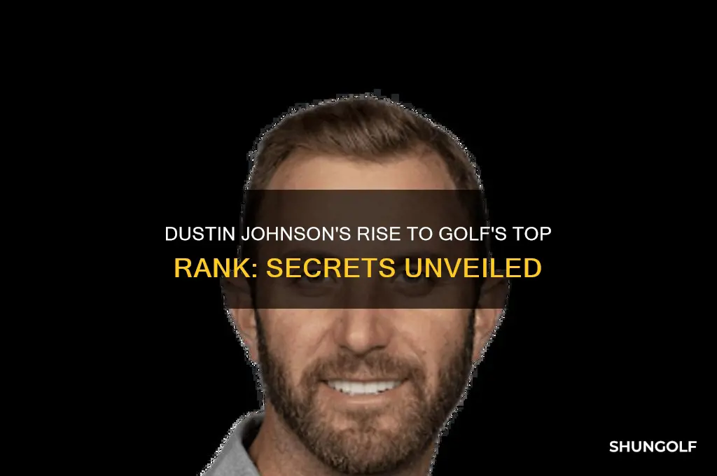 how is dustin johnson ranked number one in golf