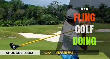 Fling Golf: A New Sport Taking Off?