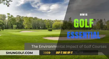 Golf: A Sport That Benefits Your Mind and Body