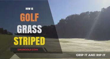 The Art of Striping Golf Grass