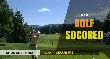Understanding Golf Scoring: Birdies, Pars, and Bogeys
