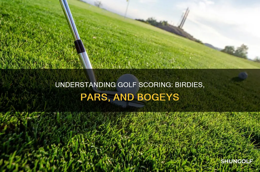 how is golf sdcored