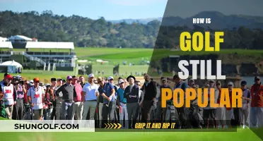 Golf's Enduring Appeal: Why It's Still a Hit
