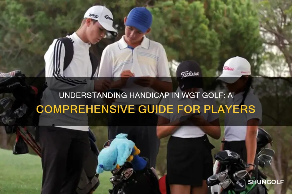how is handicap used in wgt golf