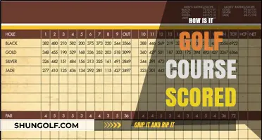 Understanding Golf Course Scoring: A Comprehensive Guide to Par and Strokes