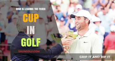 Mastering the FedEx Cup: Strategies to Dominate Golf's Premier Race