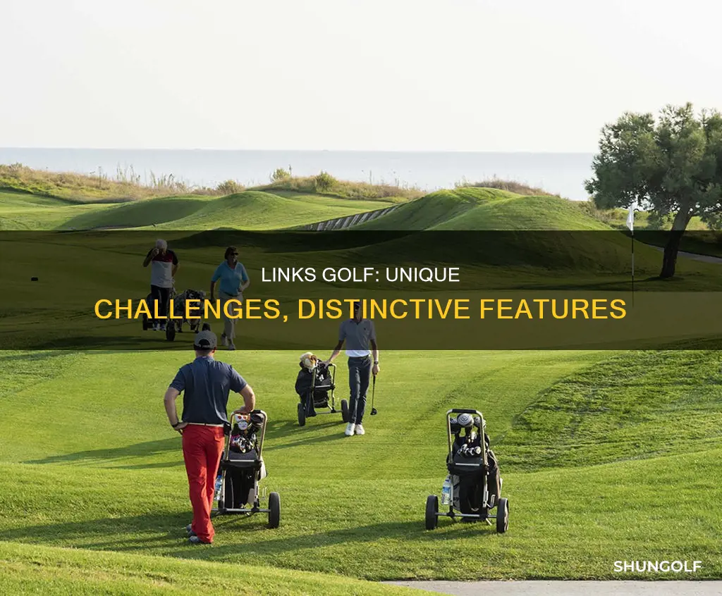 how is links golf different