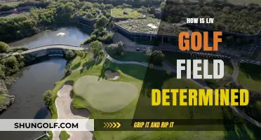Decoding the Criteria: How LIV Golf Selects Its Courses