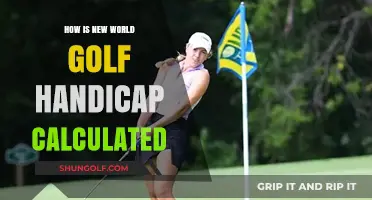 Understanding the New World Golf Handicap Calculation System