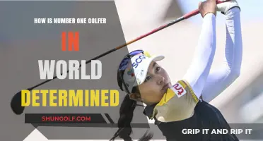 How the World's Top Golfer is Ranked and Determined
