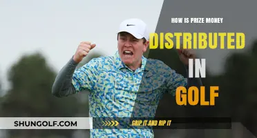 Understanding Golf Prize Money Distribution: How Winners Share the Wealth