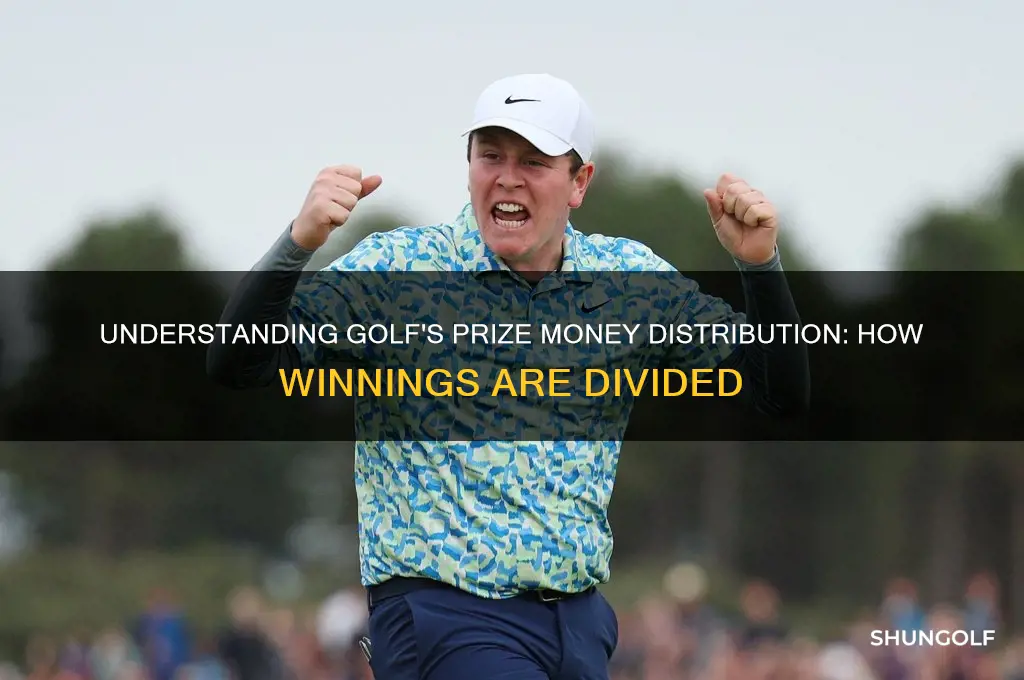 how is prize money divided in golf