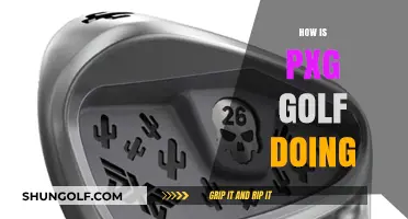 PXG Golf: Success Story or Overpriced Failure?