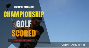 Understanding the Scoring System of the Barracuda Championship Golf