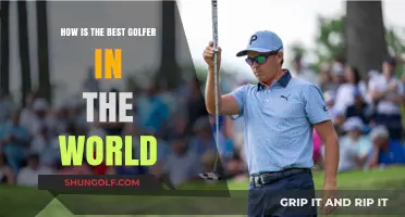 Unveiling the Secrets: Who Holds the Title of World's Best Golfer?