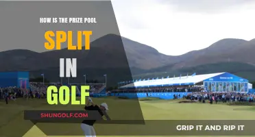 Understanding Golf Prize Pool Distribution: How Winnings Are Split