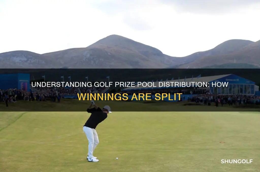 how is the prize pool split in golf