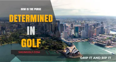Understanding Golf Purse Distribution: Factors and Calculations Explained