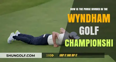 Wyndham Championship Purse Breakdown: How Prize Money is Divided
