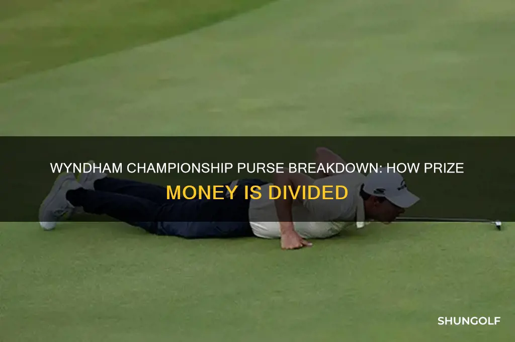 how is the purse divided in the wyndham golf championship