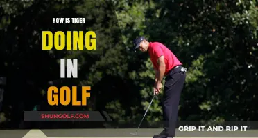 Tiger's Golf Game: Analyzing His Performance