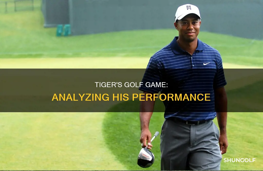 how is tiger doing in golf
