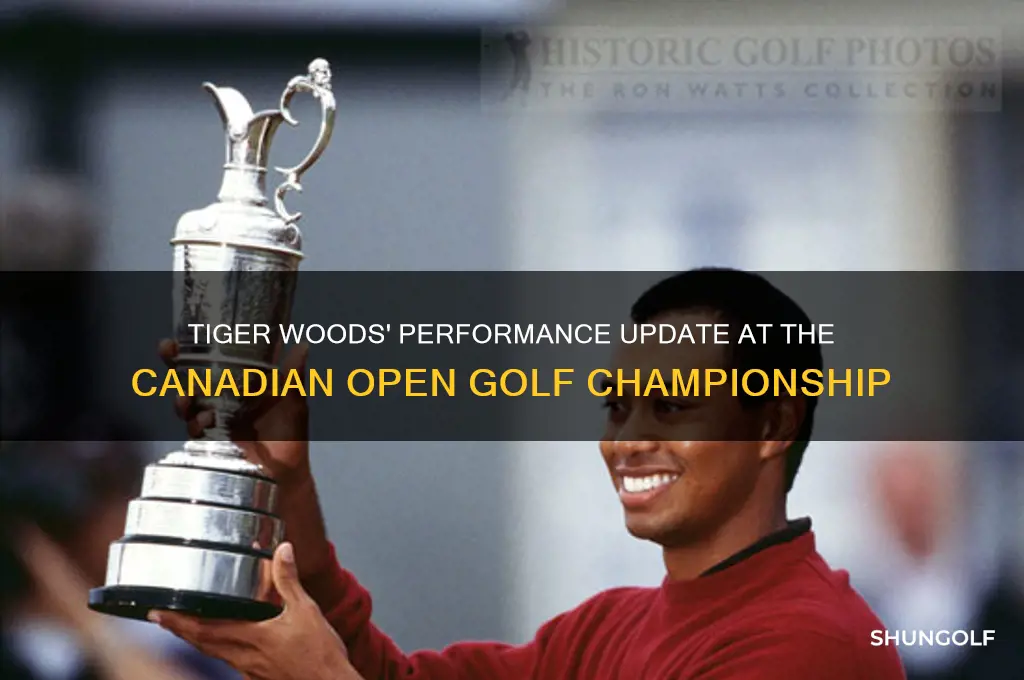 how is tiger woods doing in canadian open golf