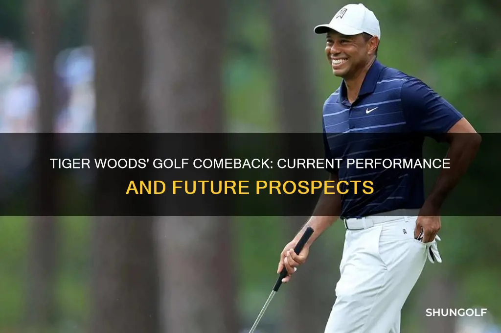 how is tiger woods doing in the golf game