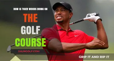 Tiger Woods' Golf Comeback: Current Performance and Course Highlights