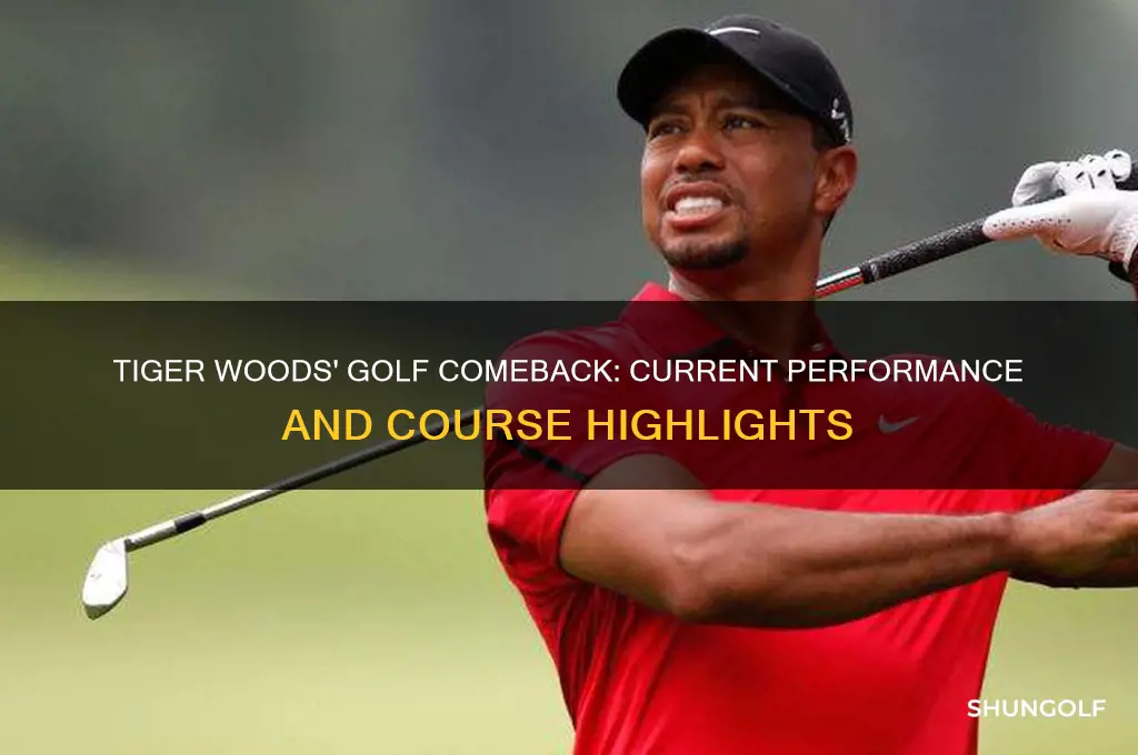 how is tiger woods doing on the golf course