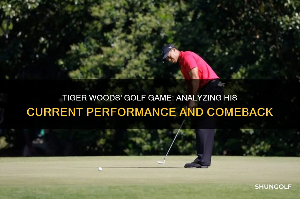 how is tiger woods golf game