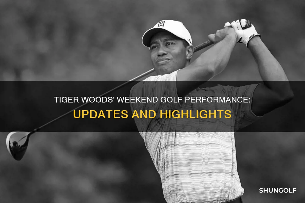 how is tiger woods golfing this weekend