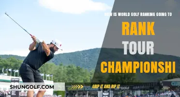 How World Golf Rankings Determine Tour Championship Standings