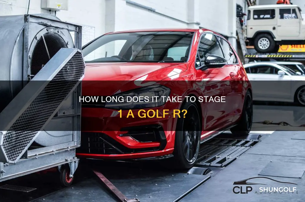how kong does it take stage 1 golf r