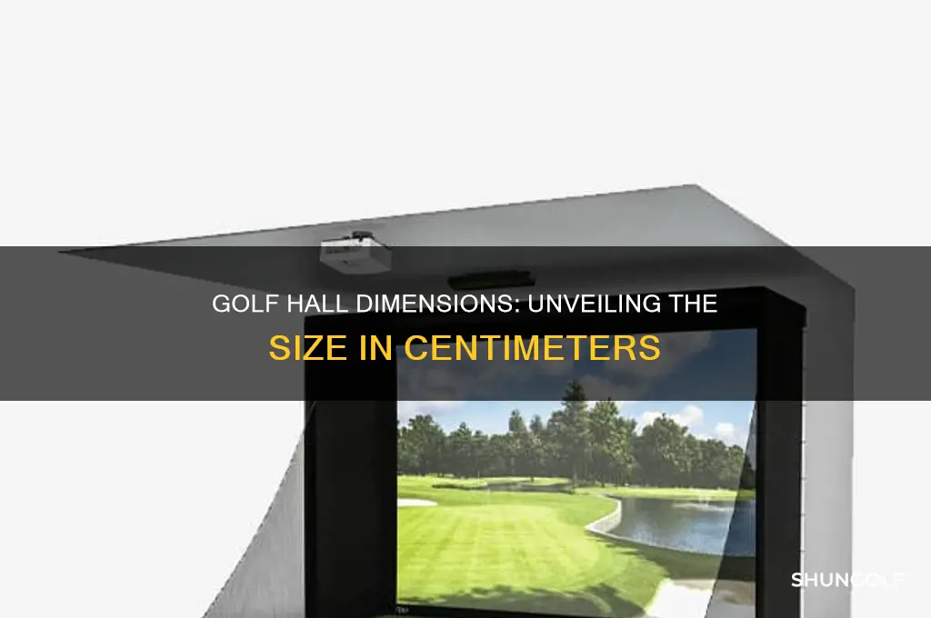 how large is a golf hall in centimeters