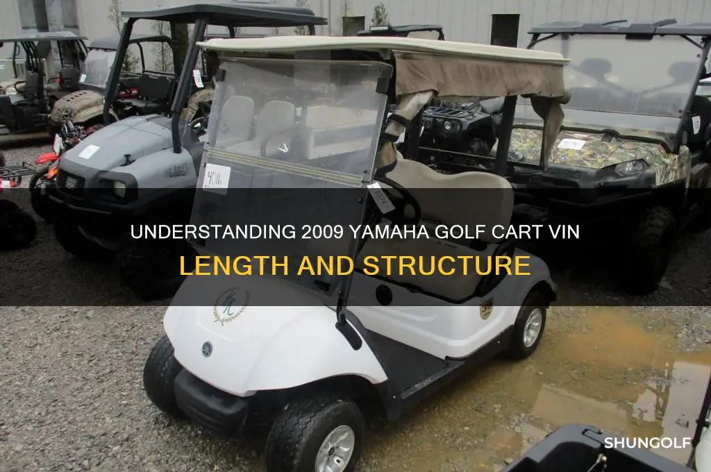 how long are 2009 yamaha golf cart vin numbers