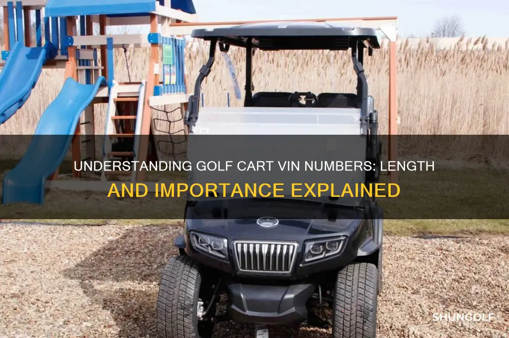 how long are golf cart vin numbers