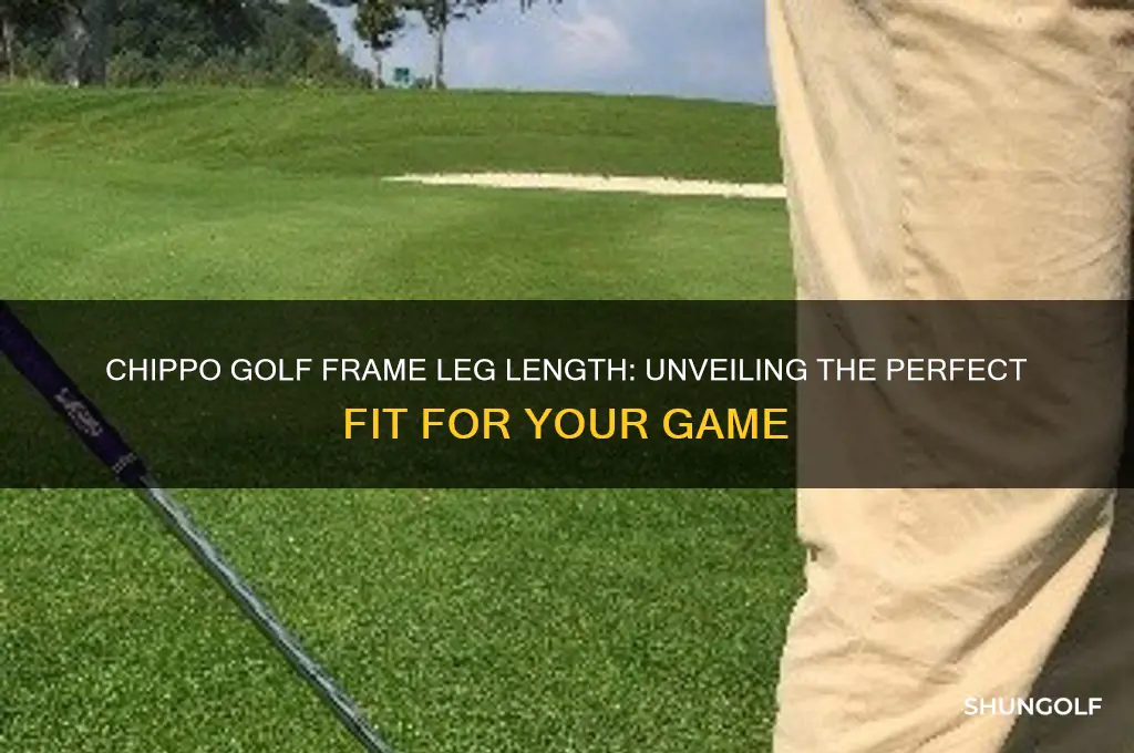 how long are the legs on a chippo golf fame