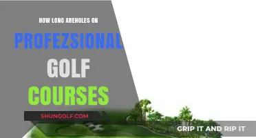 Exploring the Standard Length of Holes on Professional Golf Courses