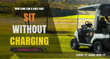 Golf Cart Battery Lifespan: How Long Can It Sit Without Charging?