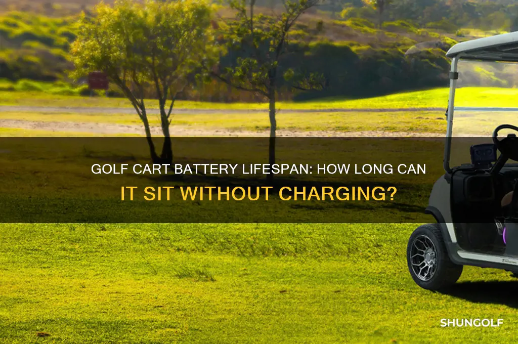 how long can a golf cart sit without charging